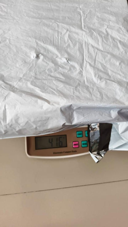 Duck Track Toy for Kids - Small Duck Climbing